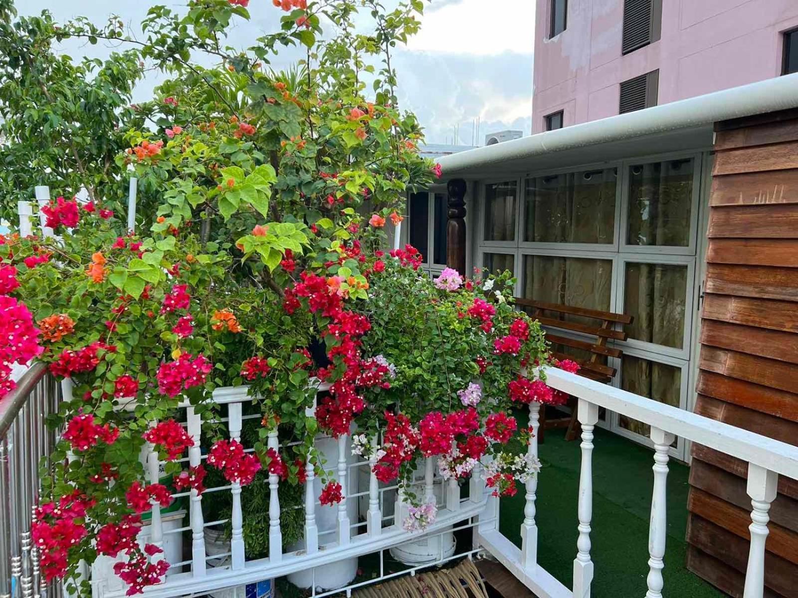 Rooftop Inn ماليه المظهر الخارجي الصورة